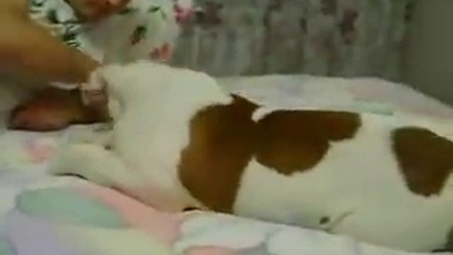 самый сладкий амбуль смотреть онлайн