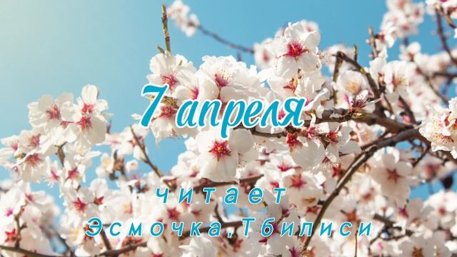 7 Апреля - Счастливая медитация смотреть онлайн