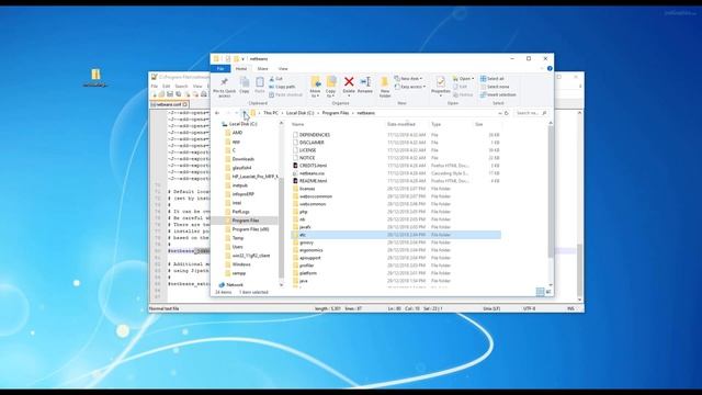 How to Install Apache NetBeans 10.0 for JDK 9 or later on Windows 10 x64 смотреть онлайн