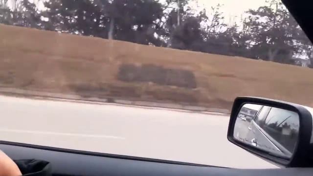 Мой короткий влог видео с музыкой смотреть онлайн