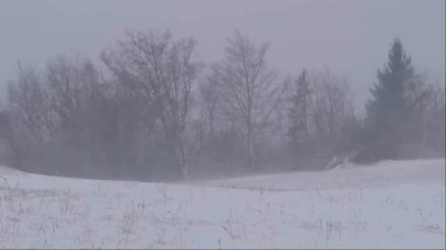 Зимний вечер завывал и голосил смотреть онлайн