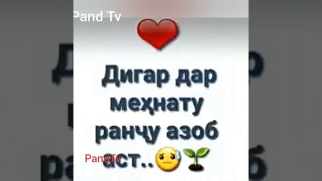 Беҳтарин панди 2020 смотреть онлайн