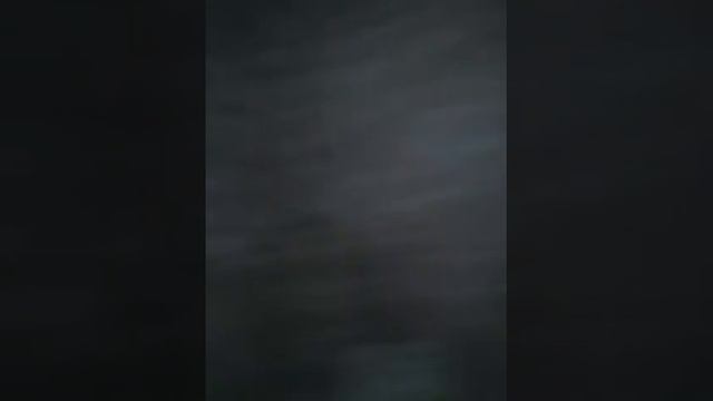 Вызываю губку боба смотреть онлайн