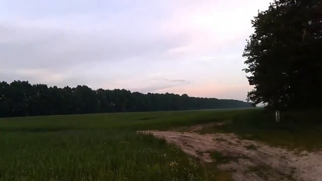 Большее зеленое поле смотреть онлайн