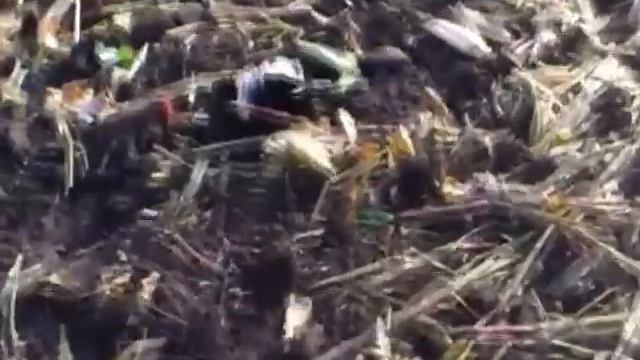 Серый ворон 23.09.2012 (Щирский Жека).mp4 смотреть онлайн