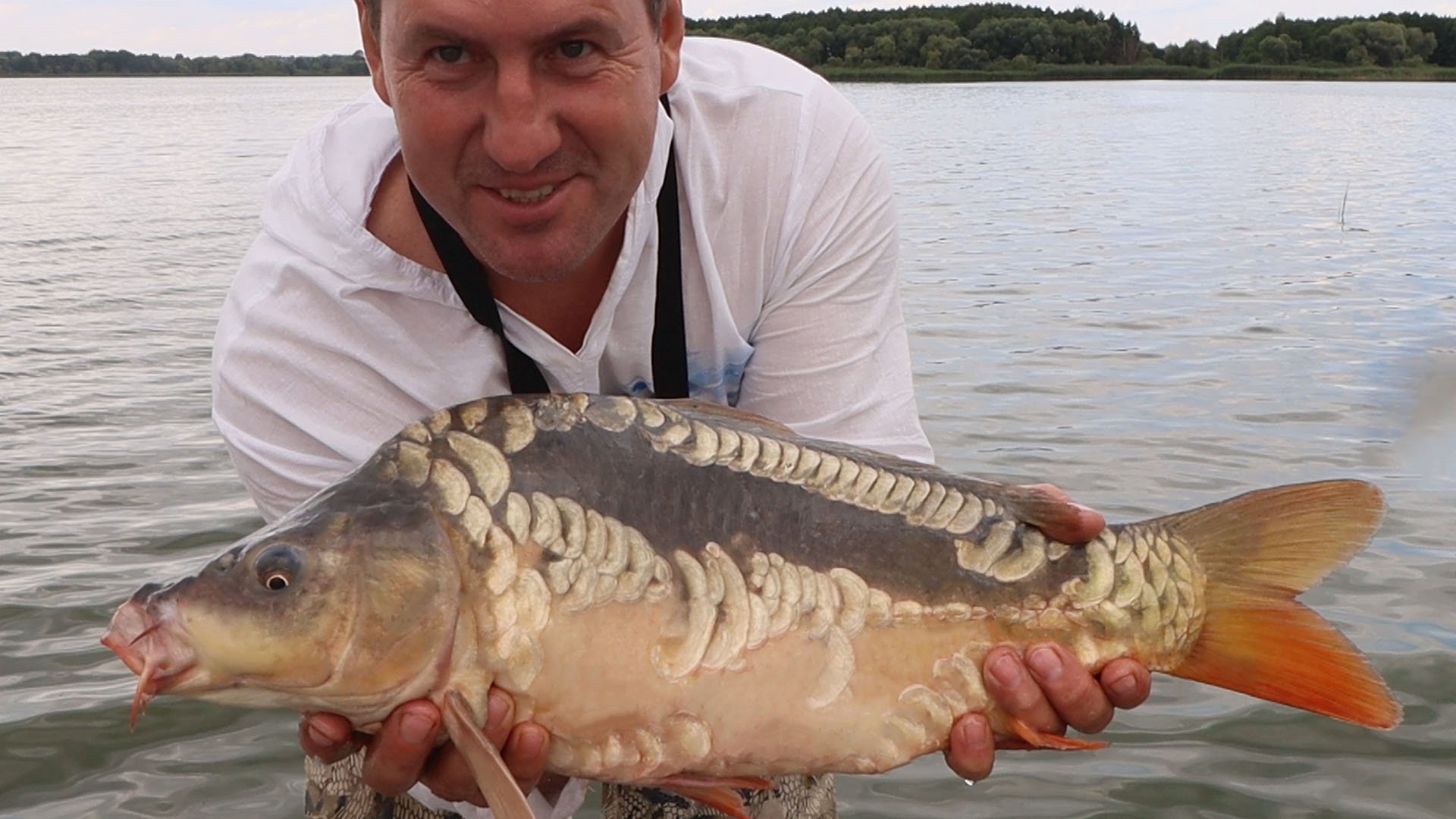 ОГРОМНЫЙ ПРУД КАРПОВ! РЫБАЛКА С НОЧЕВКОЙ НА 2 СУТОК. 1 сутки. смотреть онлайн