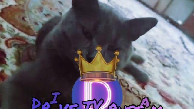ТЕЛЕКАНАЛ ... 🤣(КРИНЖ) смотреть онлайн