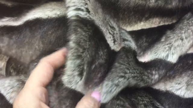 Искусственный мех арт. 483581 смотреть онлайн