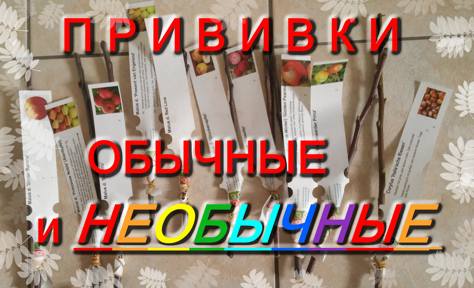 ПРИВИВКИ ПЛОДОВЫХ И ДЕКОРАТИВНЫХ РАСТЕНИЙ смотреть онлайн