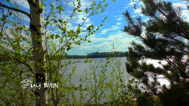 Ветренный день на берегу реки смотреть онлайн