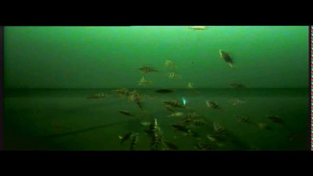 Братская рыбалка, когда Клёвый день.=) 25.02.19 смотреть онлайн