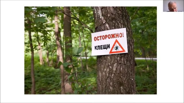 Укусы насекомых и укусы клещей смотреть онлайн