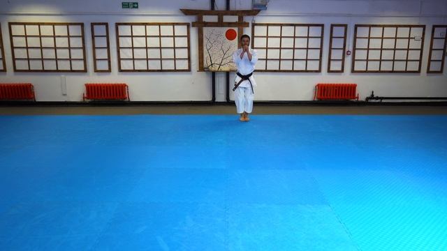 Jion Shotokan Karate Kata 2nd Kyu смотреть онлайн
