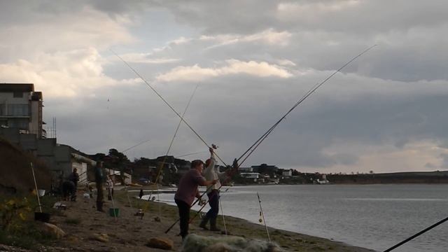 Попали на рыбу Крым. Морская рыбалка смотреть онлайн