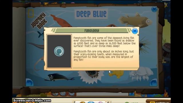 Animal Jam: Deep Blue Journey Book Guide смотреть онлайн