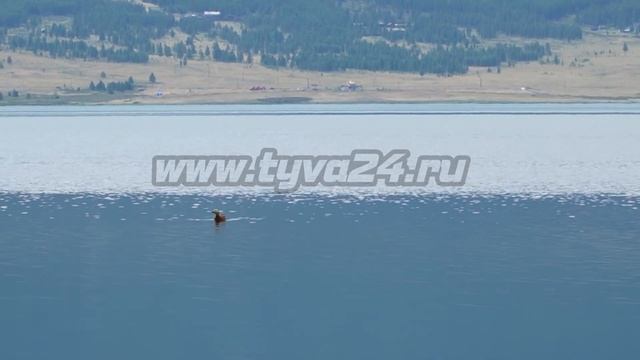 Едем в отпуск: южные озера Тувы смотреть онлайн