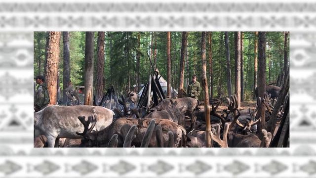 Народы России Эвенки смотреть онлайн