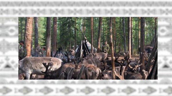 Народы России Эвенки