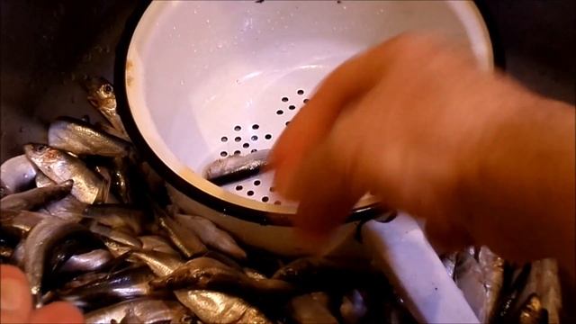 "Риба" моя золотая)))Старый одесский рецепт.Вкус консервы. смотреть онлайн