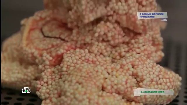 Самая дорогая икра смотреть онлайн