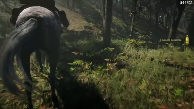 Red Dead Redemption 2.часть-37 Пещера Мерфи.Бутчер-Крик!