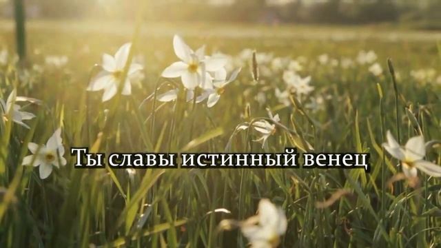 Твоей я милости - Минус смотреть онлайн