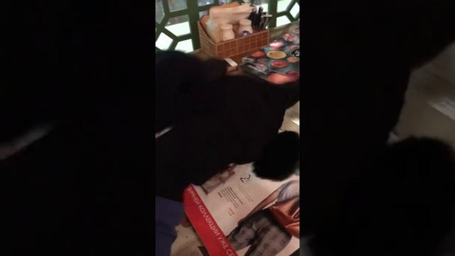 Перчатки, в которых можно пользоваться телефоном смотреть онлайн