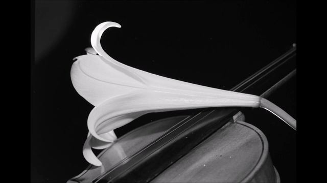 POPCORNOLDIES - GEORGES MATHIAS - MA JENNY смотреть онлайн