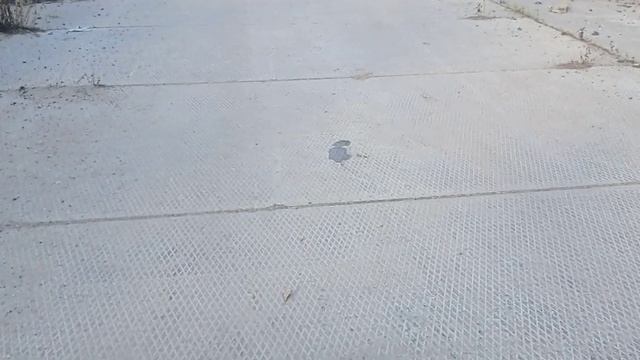 Поломали пит при Станте. Жёсткая по катушка дал угла 12 смотреть онлайн