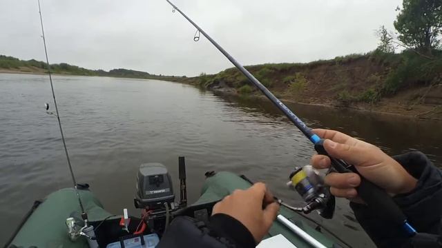 FishingBoat Gladiator E350LT+ Tohatsu 8HP смотреть онлайн