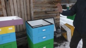 февраль. ЧТО НАДО УСПЕТЬ СДЕЛАТЬ к пчеловодному сезону