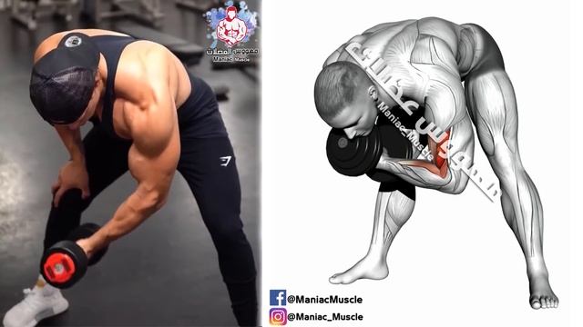 How To Build Your Biceps Fast (6 Effective Exercises)-تمارين البايسبس