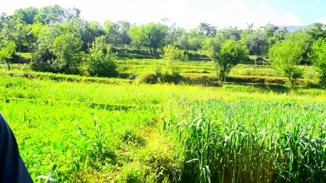 Manial maidan dir lower Khyber pukhtonkhwa смотреть онлайн