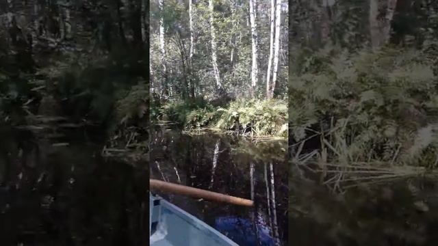 Никольское Озеро . смотреть онлайн