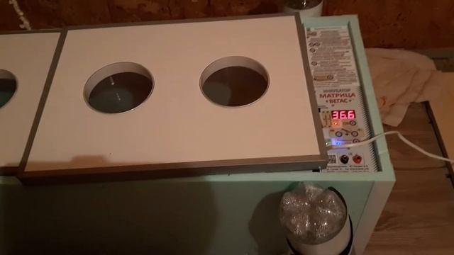 Инкубатор Матрица Вегас 90-яиц. Первое впечатление и честный отзыв смотреть онлайн