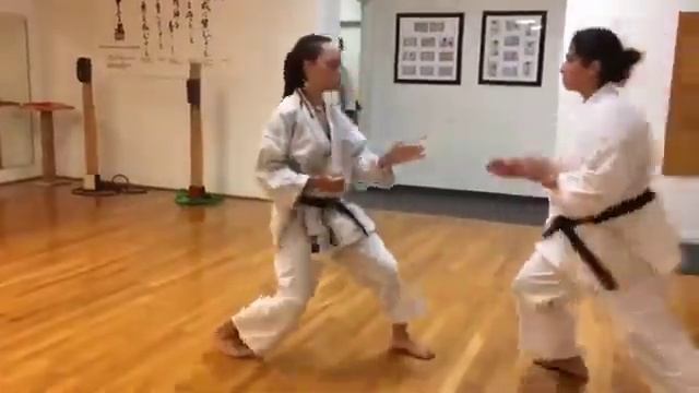 Motivacional Karate 2020 I Instituto Brasileiro de Lutas - IBL смотреть онлайн