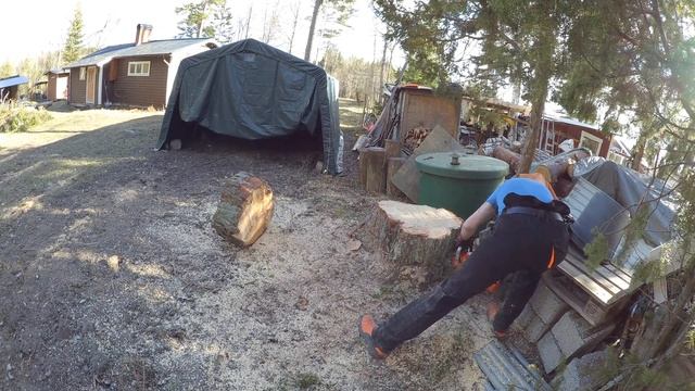 Testing a new Husqvarna 560 XP смотреть онлайн