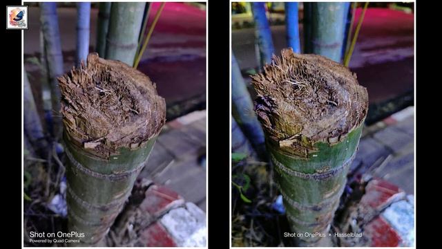 OnePlus 10 Pro Vs OnePlus 8T (OnePlus 9R) Camera Comparison⚡Sony IMX789 Vs Sony IMX586 Camera Test🔥