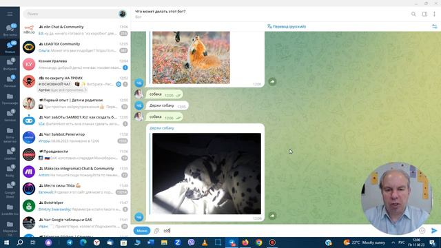 Практика API.  Выдача рандомных картинок