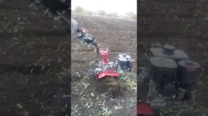 Мотоблок WEIMA (Вейма) 1000N-6 KM NEW (DELUXE комплектация) В работе.