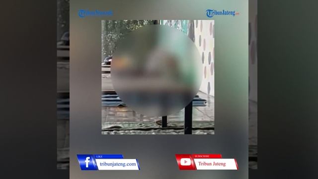 Viral Video Mesum di Cafe Tuban смотреть онлайн