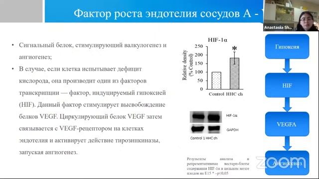 № 19 Студенческая секция: актуальные проблемы биохимии (+ подведение итогов) смотреть онлайн