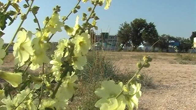 Валок на Арабатке