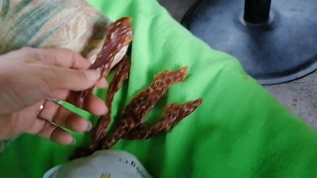 Трапеза вкусняшек из посылки т.Оли. смотреть онлайн