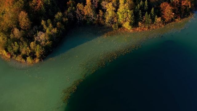2 Hours Of Soothing Guitar Music with Autumn Background: Perfect for Relaxation and studying смотреть онлайн