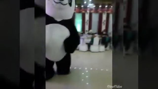 Шымкент Панда панда смотреть онлайн