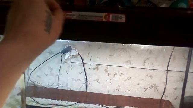 Ремонт аквариума (предисловие) .часть 1 #3. смотреть онлайн