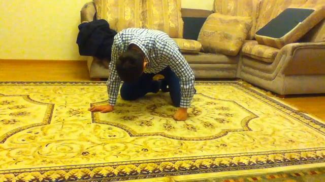 Смешное видео бешеный чихуахуа смотреть онлайн