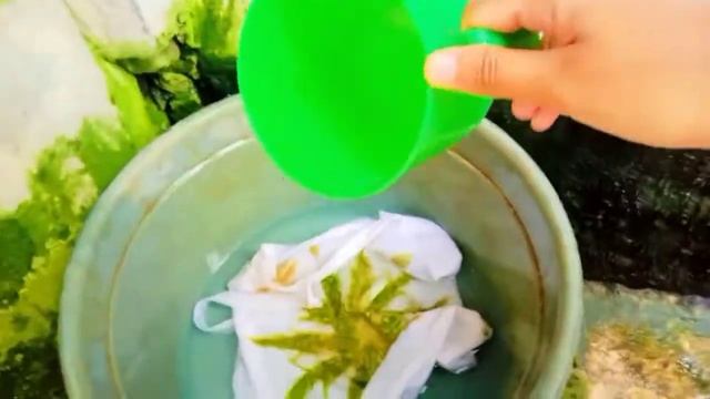 TUGAS PKWU MEMBUAT ECOPRINT смотреть онлайн