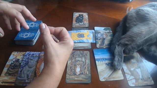 ? CANCER SEPTEMBER 2020 TAROT - смотреть онлайн